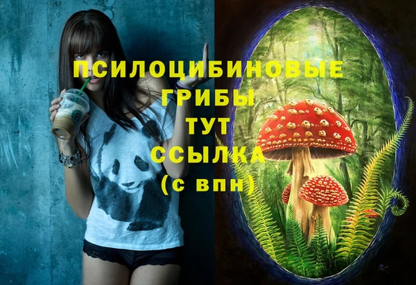 прущие крисы Магадан