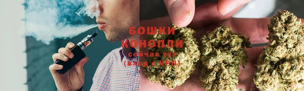 прущие крисы Магадан